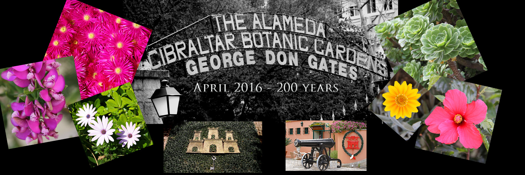 Botanical Gardens 200 years